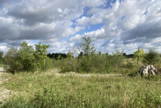 am Rande der Kiesgrube (Foto: Pit Brützel) 