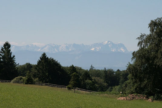 (Foto: Horst Guckelsberger) 