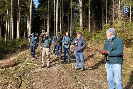 auf Spechtsuche im Zeller Wald (Foto: Pit Brützel)