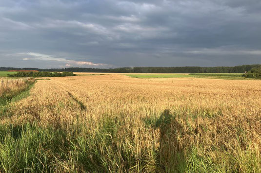 Blick nach Osten (Foto: Emil Schmid-Egger)