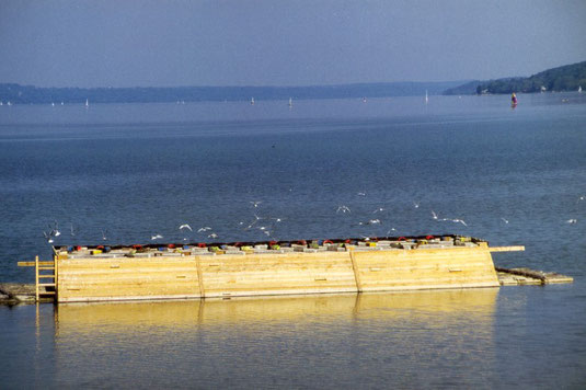 Das erste Flussseeschwalbenfloß am Starnberger See (Foto: Heri Zintl)