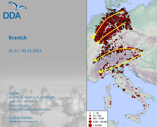 Zugwege der Kraniche (aus einem ornitho.de Vortrag)