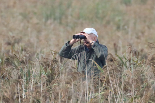 Auf der Suche nach den Bartmeisen (Foto: Peter Witzan) 