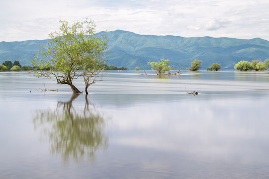 Kerkini - See