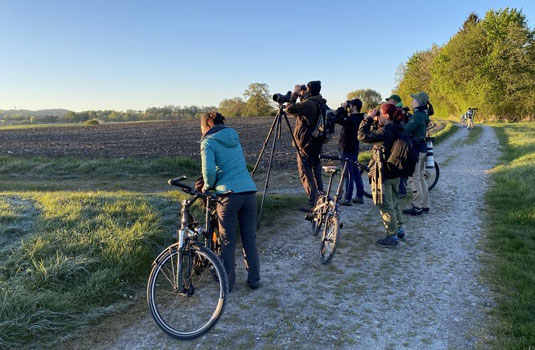 STernglAstaucher und ASOnauten frühmorgens im Ampermoos 