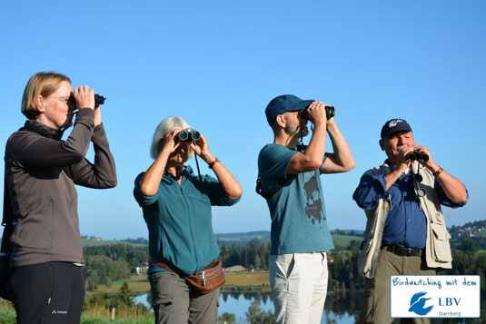 birdwatching mit dem LBV Starnberg (Foto: Christiane Hesel)