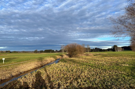 Weiher-Bach fleißt nach Norden in Richtung Maisinger See
