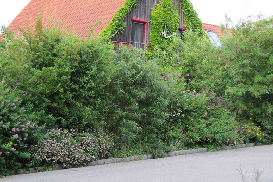 Foto: Helbig-Birgit_LBV-Bildarchiv