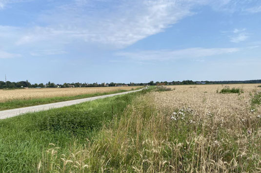 Blick nach Norden (Foto: Pit Brützel)