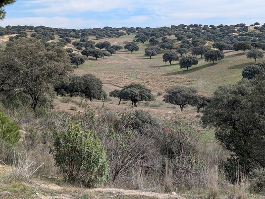 Extremadura in Spanien 