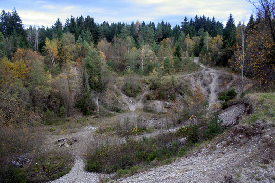 "Schreinergrube" im ehemaligen Pionierübungsgelände 