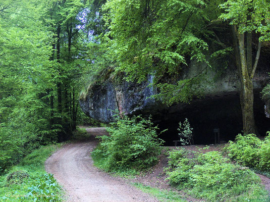 Klumpertal, Entenfels, Wanderweg, Fränkische Schweiz, Ausflug, Pottenstein, Franken, Klettern, Wandern, Joggen, laufen, Wanderung, Barrierefrei, Kinderwagengeeignet, Bayern, Ausflugtipp, Reisetipp, Familienurlaub