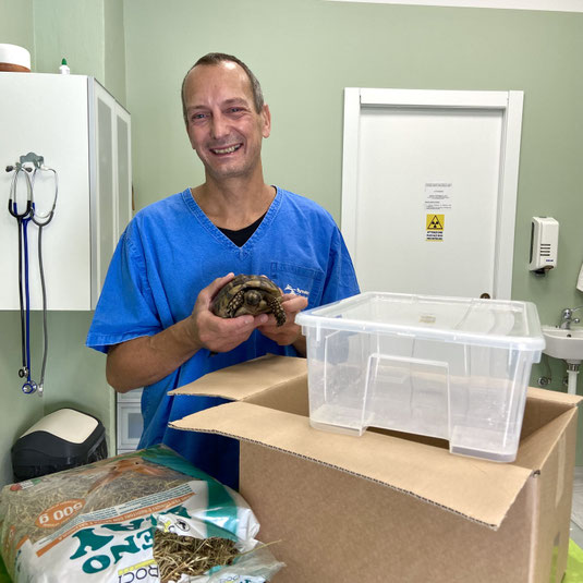 Letargo tartarughe Ambulatorio Veterinario Dottor Luca Re