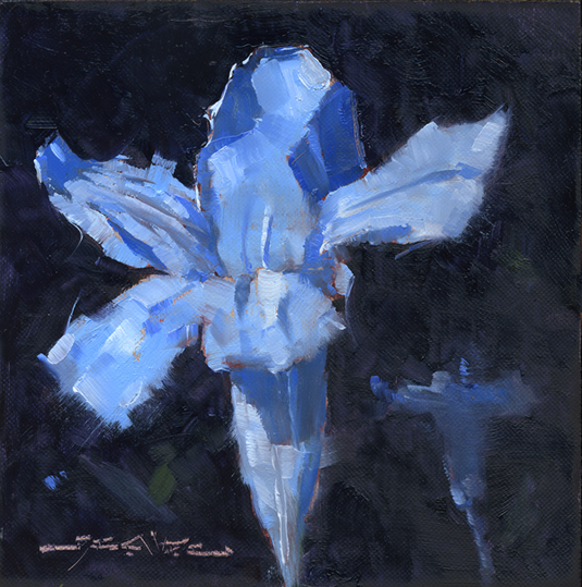Common Wild Petunia - 6x6-inch oil on canvas panel.