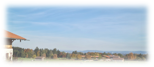 Landschaft