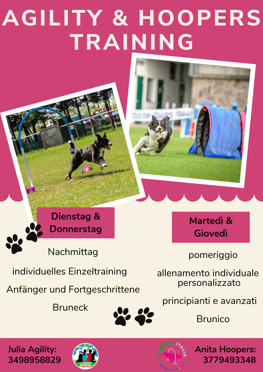 Hoopers und Agility - Hundeschule und Hundesport