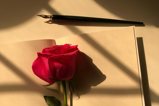 ページが開かれた白紙のノートの上に置かれた赤いバラの花。傍らに万年筆。夕日が差し込んでいる。