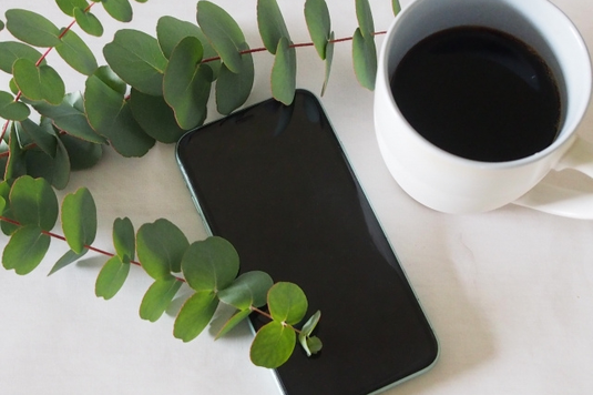 スマートフォンとコーヒーの入ったマグカップ。ユーカリの小枝。