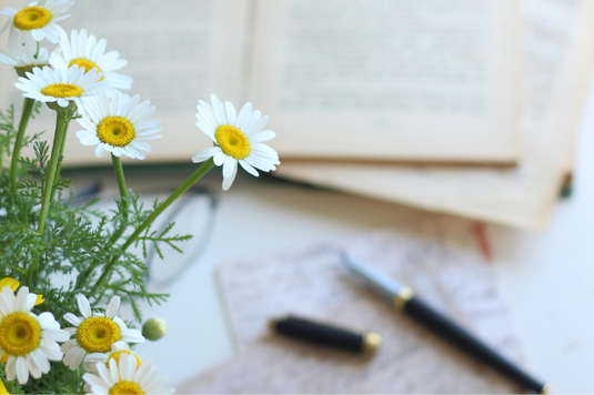 デスクにページがめくられた本。書きかけの手紙と万年筆。眼鏡。マーガレットの花が飾られている。