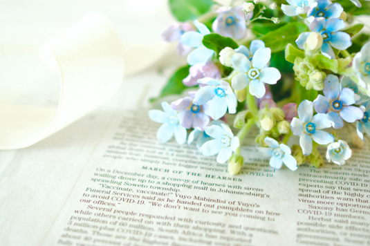 英字新聞のうえに置かれたブルースターの花束。リボンでまとめられている。