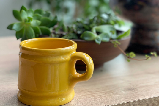 オフィスのテーブルに飾られた多肉植物の鉢植。となりに黄色のマグカップが置かれている。