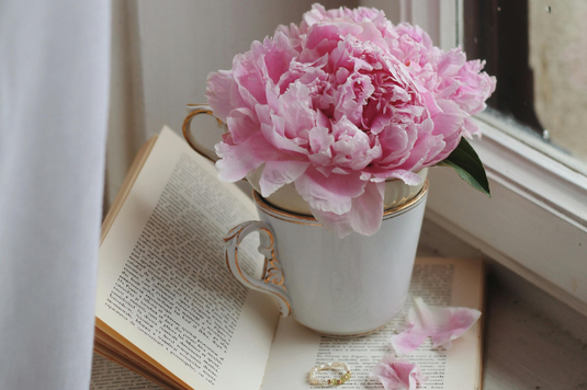 窓辺に広げられた本のうえに置かれたコーヒーカップ。カップに生けられたシャクヤクの花。