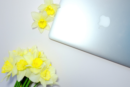 ノートパソコンとユリの花。