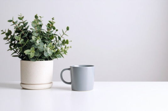 テーブルに置かれたグリーンの鉢植とマグカップ。