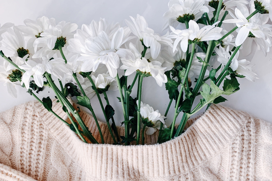 白のフィッシャーマンセータと白のスプレーマムの花たち。