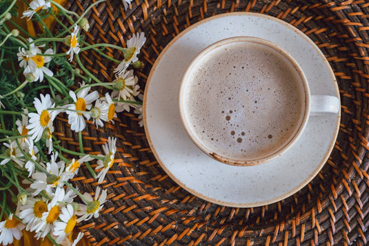 ホットコーヒーの淹れられたカップ&ソーサ。ナプキンのうえにクリームビスケット。鉢植えの観葉植物。