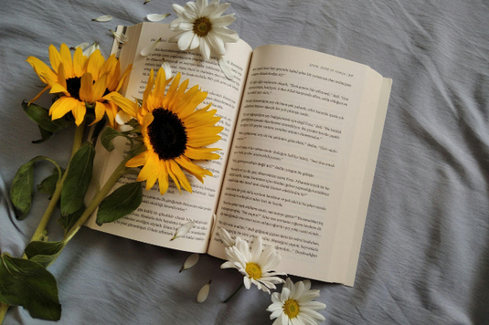 クロスが掛けられたテーブルにページがめくられた本が置かれている。本のページの上に無造作に横たえたひまわりとガーベラの花。