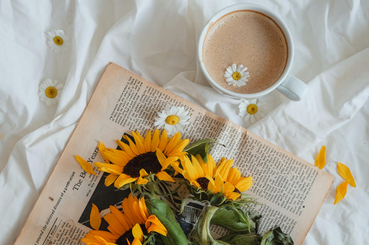 英字新聞の上に広げられたひまわりの花たち。コーヒーの入ったマグカップにカモミールの花が浮かべられている。