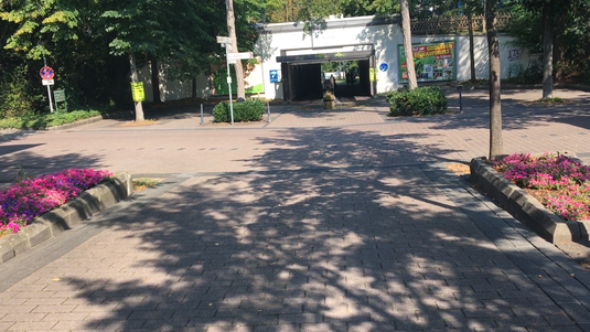 Ich fahre zur Bahn und mit dieser durch die Porta Westfalica bis Minden.