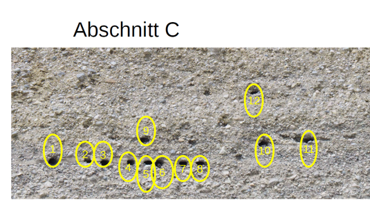 Zählabschnitt / Kennzeichnung von Brutröhren (Foto: Richard Roberts)