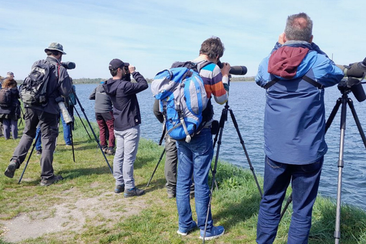 ASO - Exkursion am Moosburger Isarstausee (Foto: Claudia Höll) 