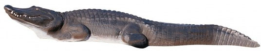 aligator