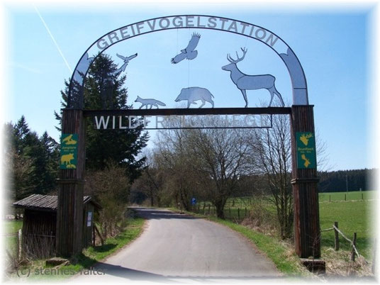 Parkplatzzufahrt Wildfreigehege und Greifvogelstation Hellenthal
