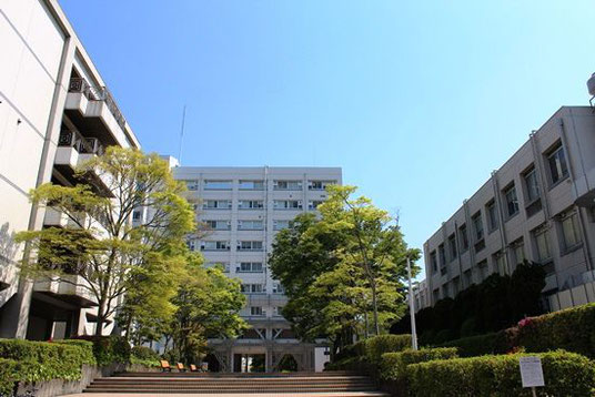浜松医科大学 医大祭17 浜松医科大学医大祭実行委員会 浜松医科大学 医大祭17 浜松医科大学医大祭実行委員会