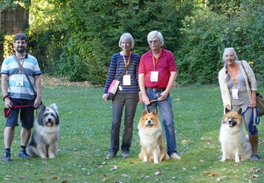 Foto: Michaela Hilburger. U-Billie-Jean-Mikko, Samu-Timo und Uzou von Werths Echte