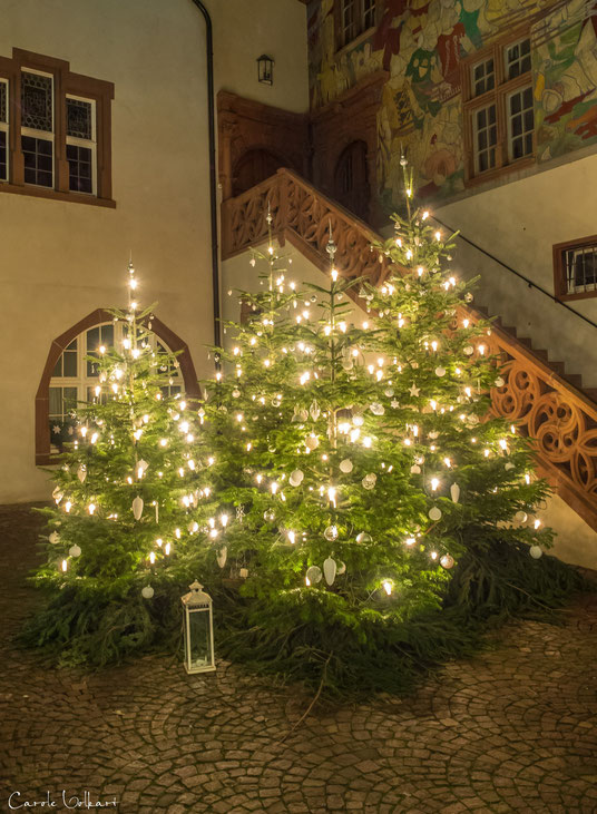 Wunderschön geschmückte Weihnachtsbäume im Rathaus-Innenhof von Rheinfelden