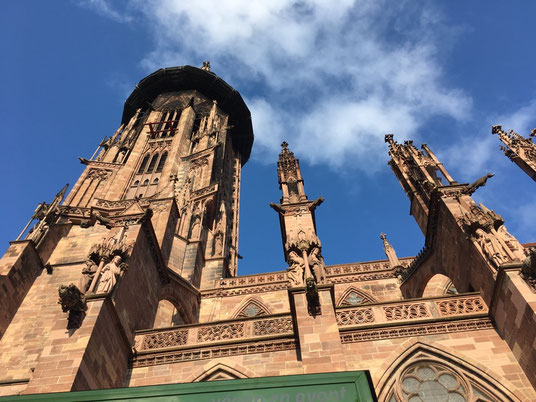 Der Freiburger Münster