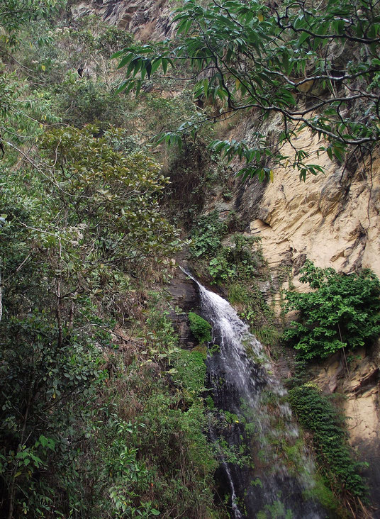 Waterfall in Coiroco, Yungas, Bolivia