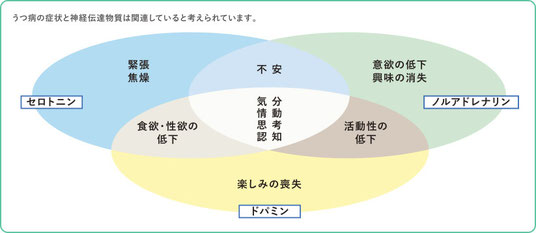 Leonard, B. E. et al.: Differential Effects of Antidepressants, 1999, pp.81-90, Martin Dunitz Ltd, London, 改変 監修:CNS薬理研究所 主幹 石郷岡純先生