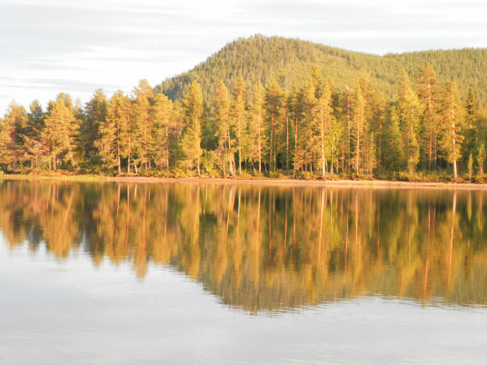 Rusksele, Västerbotten, Zweden