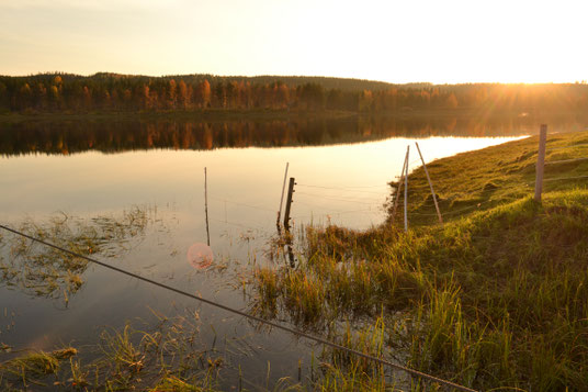 Bjursele, Västerbotten, Vindelälven, Zweden