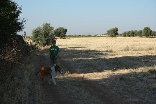 Manga de Schotse Colly, met onze zoon, tijdens een wandeling in Spanje