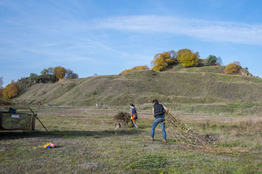 Entbuschungsaktion im Steinbruch Zinst. Foto: Konrad Zier
