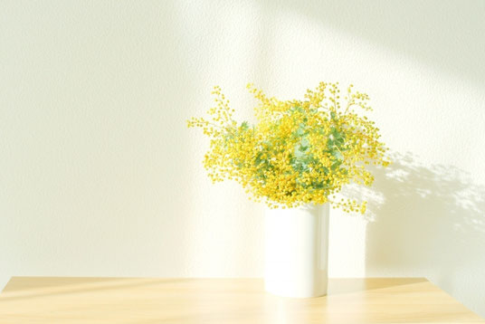 オフィスのテーブルに飾られた花瓶。ミモザの花。
