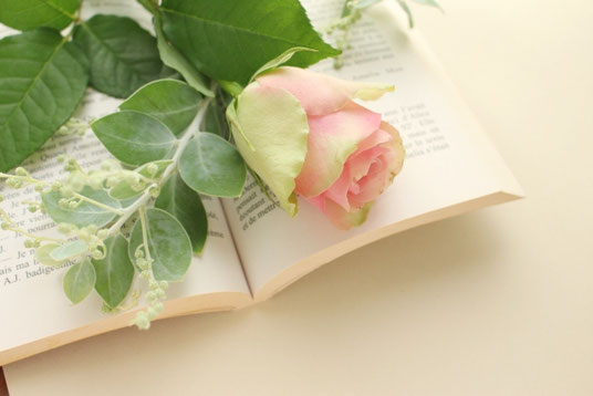 ページがめくられた洋書のうえに無造作に置かれたピンク色のバラの花。
