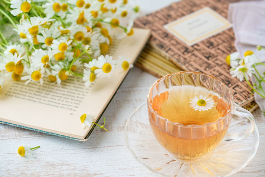 積まれた本。ページがめくられた本のうえにカモミールの花が無造作に置かれている。カモミールの花が浮かべられた紅茶のカップ。